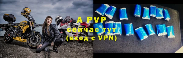 индика Арсеньев