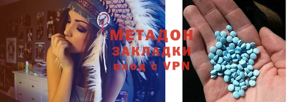 индика Арсеньев
