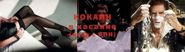 индика Арсеньев
