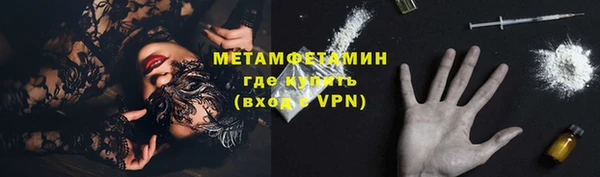 индика Арсеньев