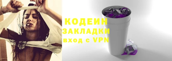 индика Арсеньев