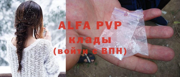 индика Арсеньев