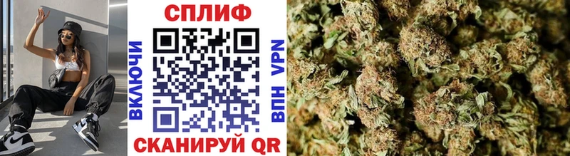 Каннабис OG Kush Сасово
